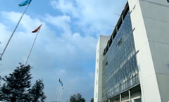 Z6人生就是博之歌