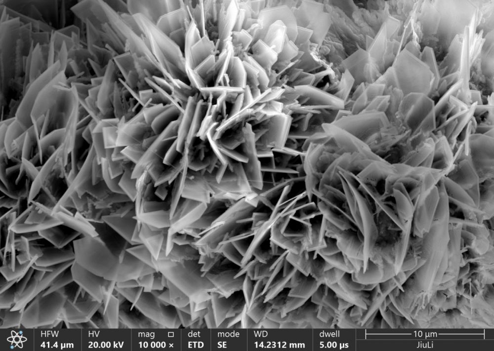 Z6·人生就是博(中国区)官方网站